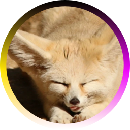 Avatar for Fennec Fox Daily