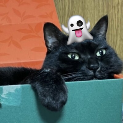 Avatar for しゃのわーる