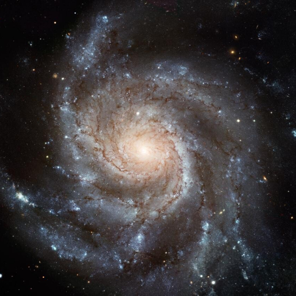 Avatar for Astronomy Picture of the Day (unofficial bot)