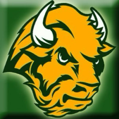 Avatar for NWBison🇺🇸🏳️‍🌈🇺🇦🇬🇪🇲🇩🇹🇼🇵🇸🐈‍⬛🐈‍⬛🐕