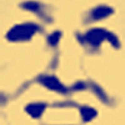 Avatar for Toni