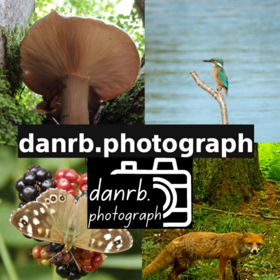Avatar for danrb.photograph