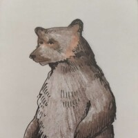 Avatar for Puzaty Miadzviedź