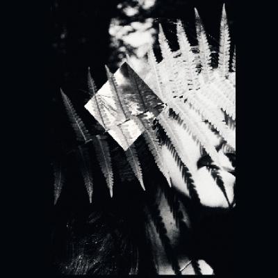 Avatar for LisaLaCritzel