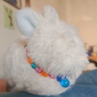 Avatar for piet the bunny <3