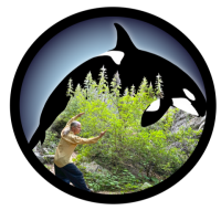 Avatar for ForestOrca