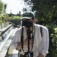 Avatar for Matteo Pinna