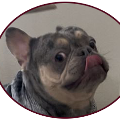 Avatar for Doofie and Dingus