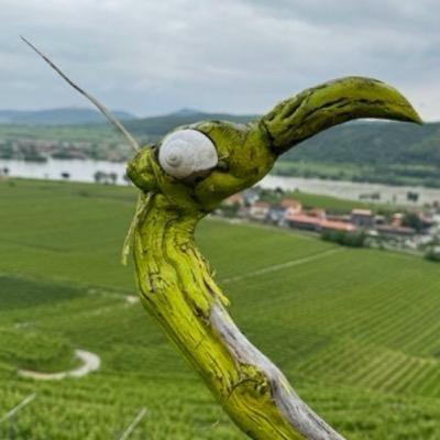 Avatar for cycletux :deutschlandticket:🍁